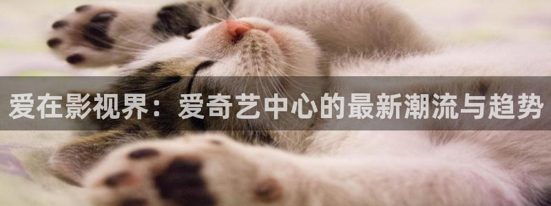 神马一级我不卡电影：爱在影视界：爱奇艺中心的最新潮流与趋势