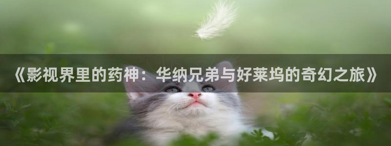 神马影院888不卡院：《影视界里的药神：华纳兄弟与好莱坞的奇幻之旅》
