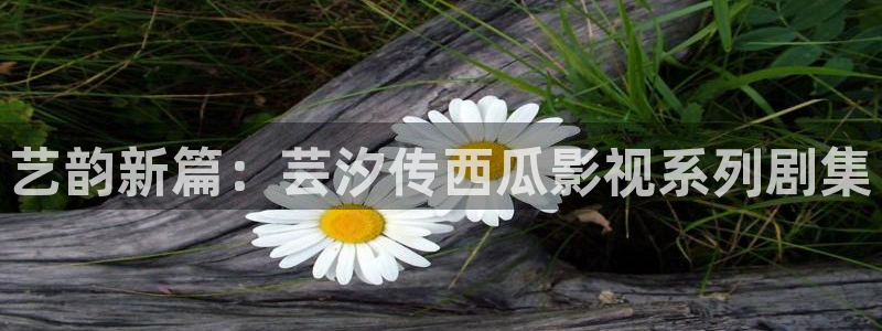 神马影院老子我不卡：艺韵新篇：芸汐传西瓜影视系列剧集