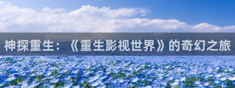 日本高清不卡码：神探重生：《重生影视世界》的奇幻之旅
