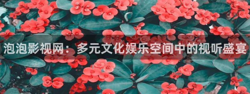 我不卡手机影院在线：泡泡影视网：多元文化娱乐空间中的视听盛宴