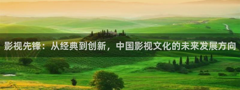 亚洲电影不卡一二区中文字幕：影视先锋：从经典到创新，中国影视文化的未来发展方向