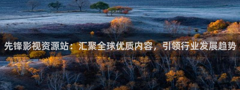 午夜av电影 不卡