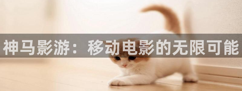 我不卡电影完整版免费观看