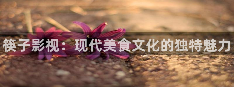 中文字幕高清不卡
