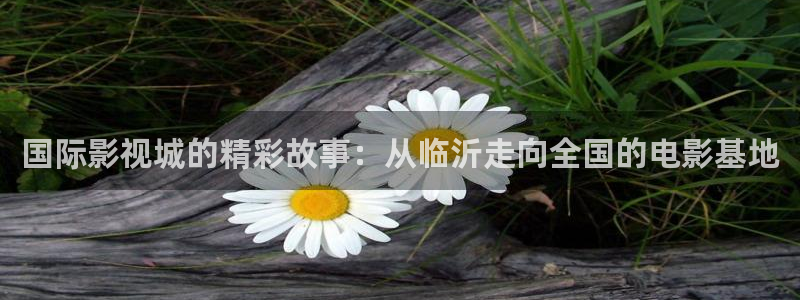 日本高清视频不卡一区二区