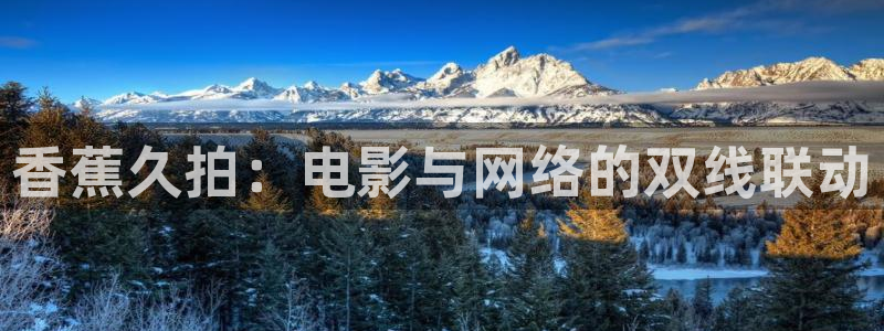 av不卡电影在线观看