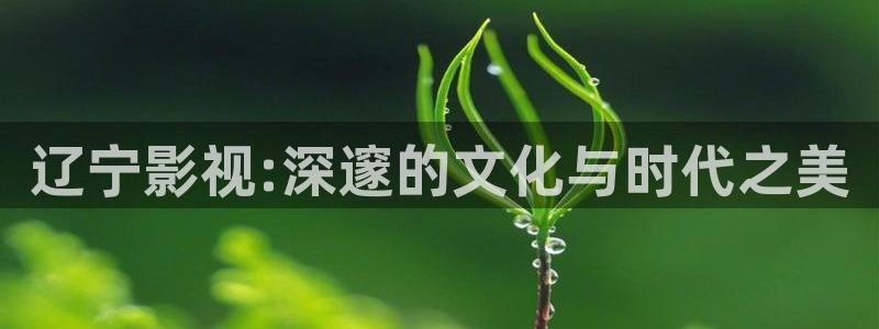 加勒比高清不卡