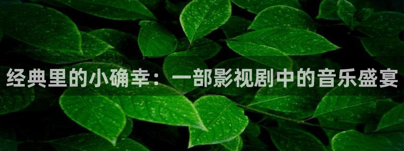 神马电影未来我不卡