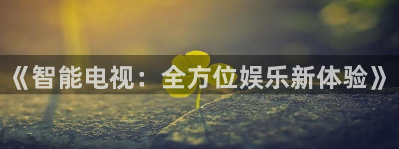 欧美在线观看视频午夜不卡