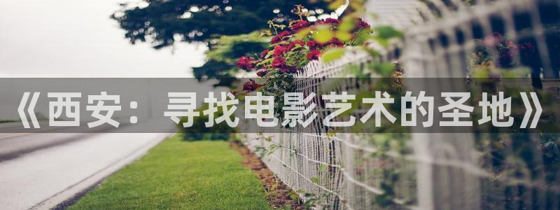 伦理片不卡在线观看
